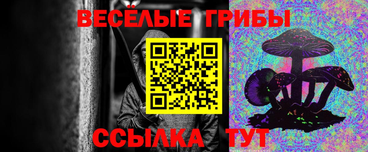 Галлюциногенные грибы прущие грибы  Вход с VPN  Батайск 